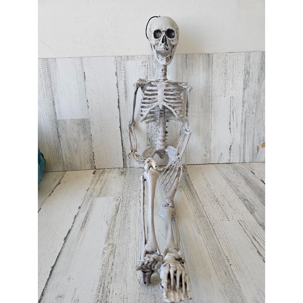 33" jointed hanging skeleton prop